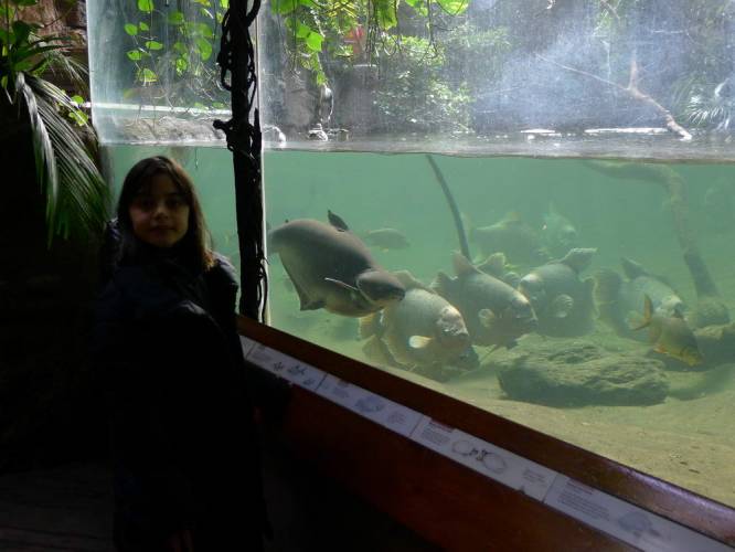 USA_2011-11-21 12-42-17